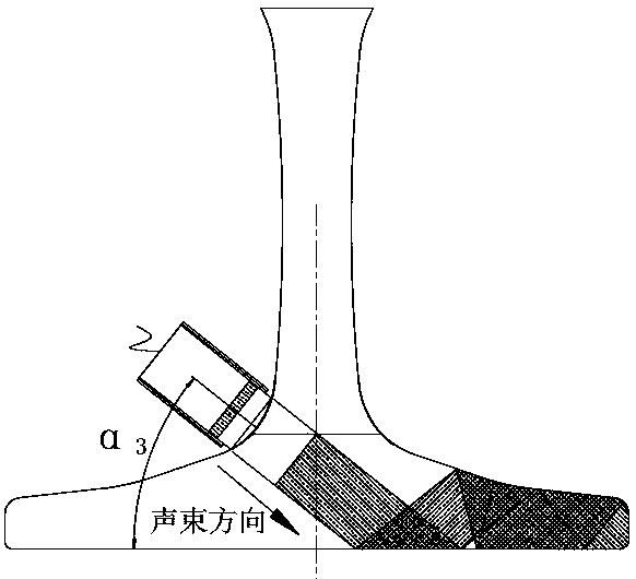 A full-section flaw detection method and device for rail bottoms in service