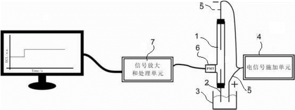 Analysis device based on electrochemical luminescence technology and double-pole electrode configuration