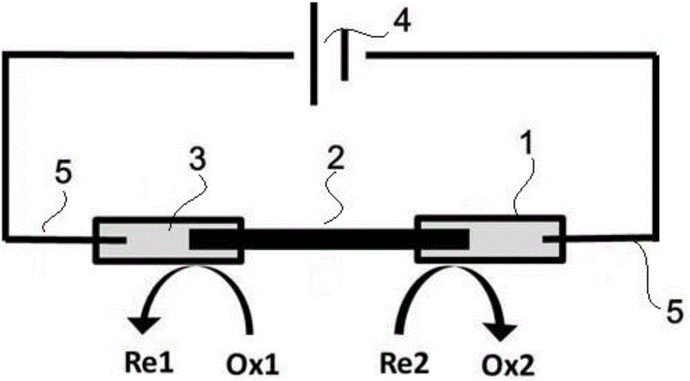 Analysis device based on electrochemical luminescence technology and double-pole electrode configuration