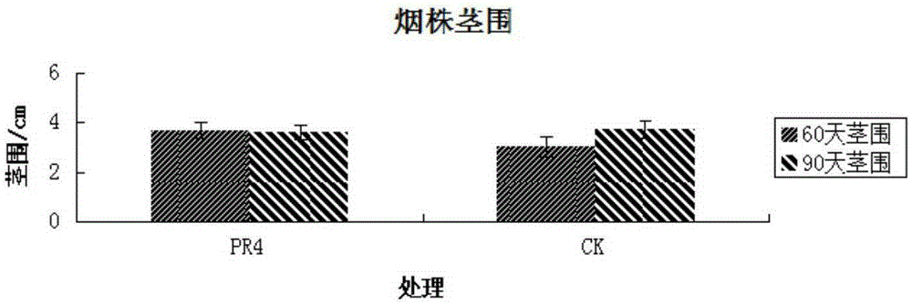 Serratia nematodiphila strain and application thereof