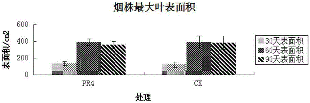 Serratia nematodiphila strain and application thereof