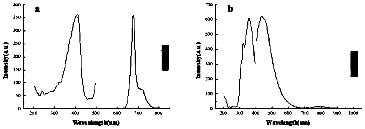 Fluorescence method for rapidly detecting Hg&lt;2+&gt; in tea oil