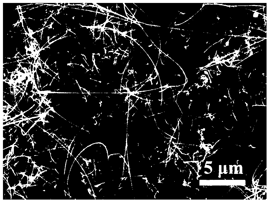 Preparation method of nano-wire reinforced SiC wear-resistant coating