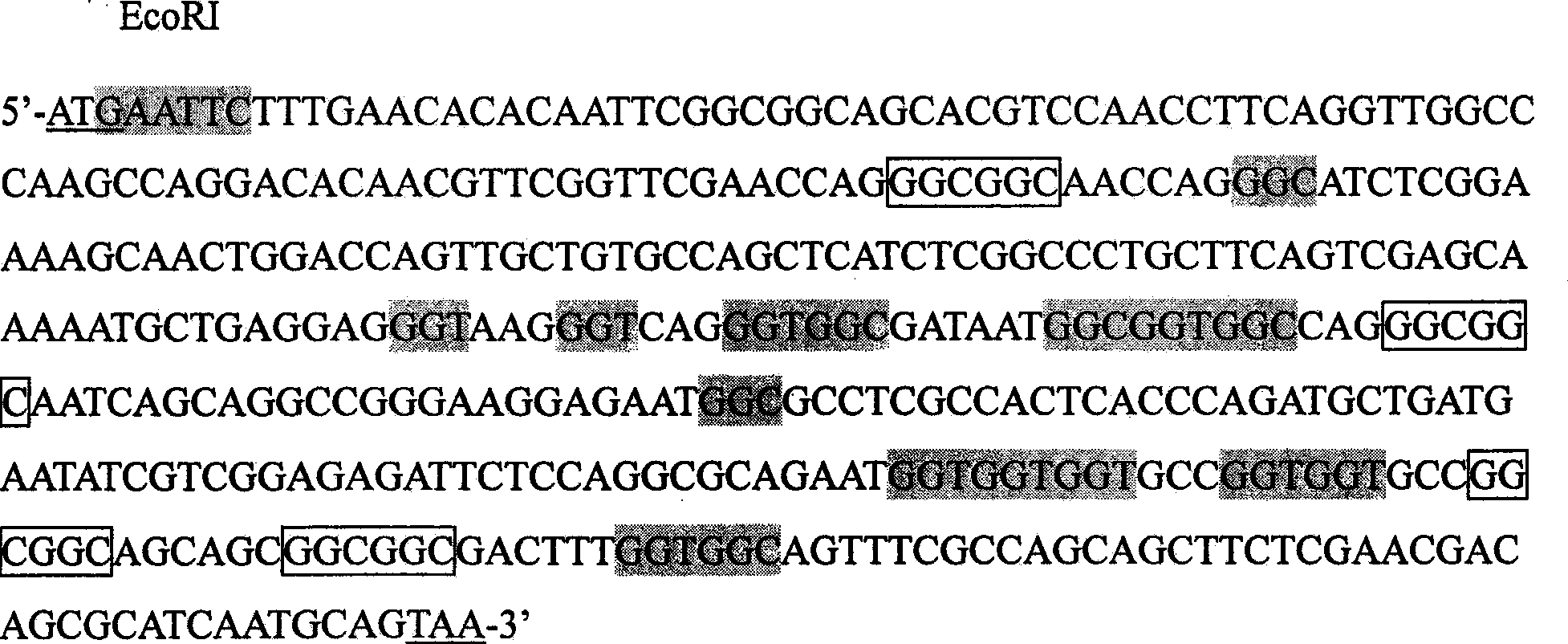 Wheat hpfw gene, expression product and uses thereof