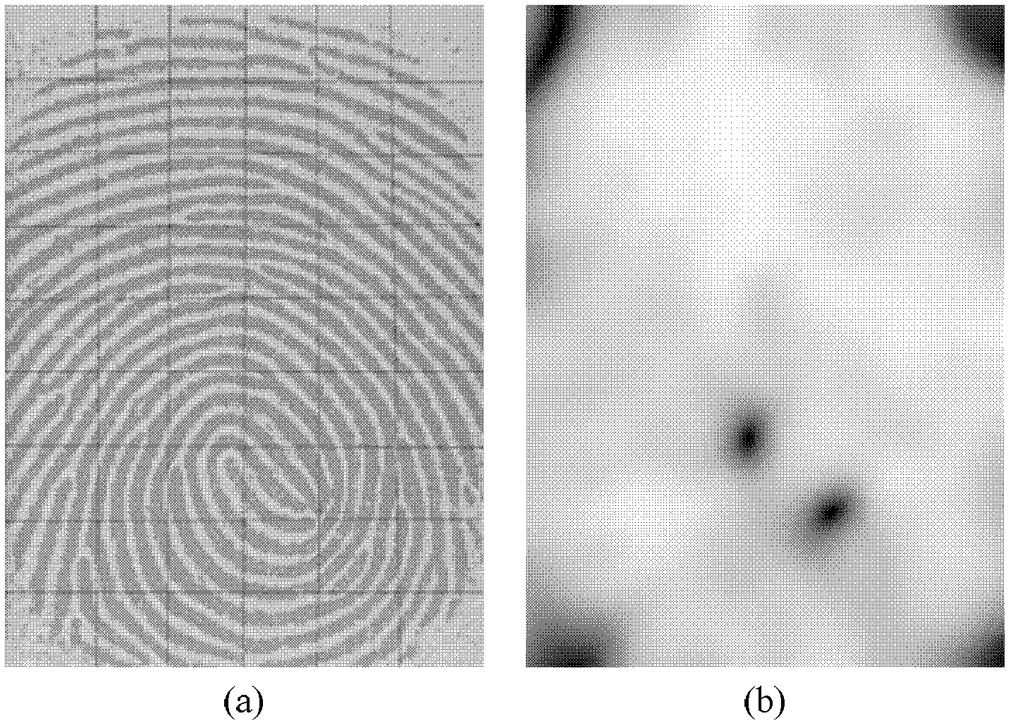 Cross matching fingerprint image scaling method based on global ridge distance