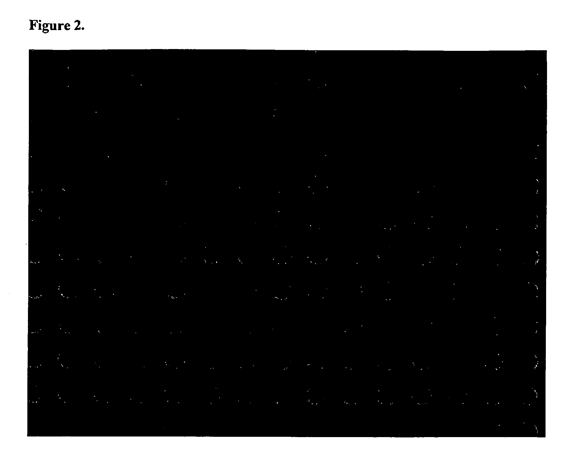 Methods of making and using microarrays suitable for high-throughput detection