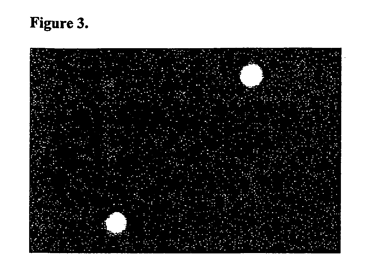 Methods of making and using microarrays suitable for high-throughput detection