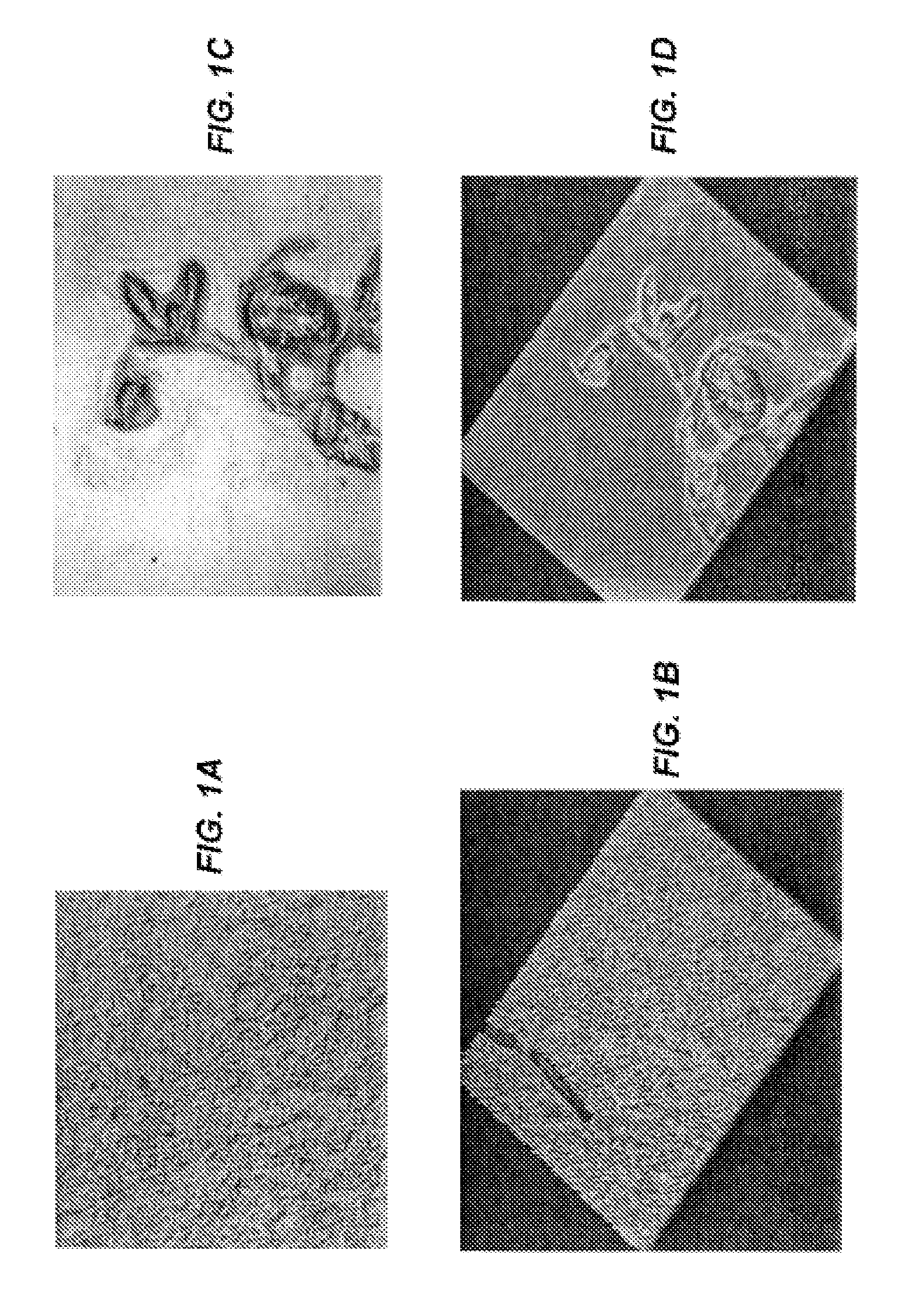 Method of enhancing the control of viruses on skin