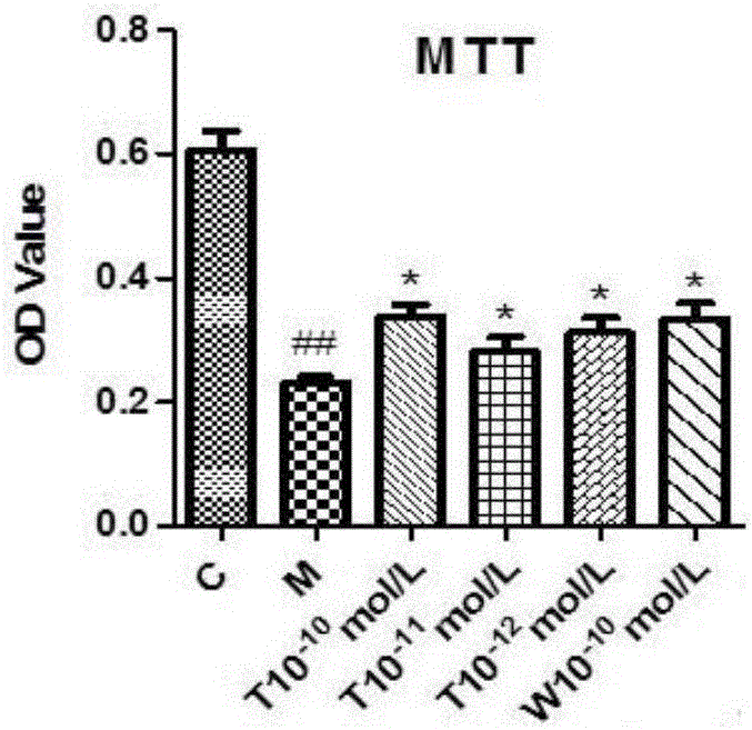 Application of tormentic acid to preparation of anti-anoxia medicine