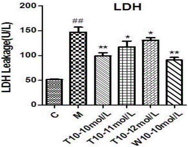 Application of tormentic acid to preparation of anti-anoxia medicine