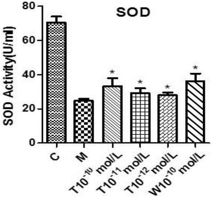 Application of tormentic acid to preparation of anti-anoxia medicine