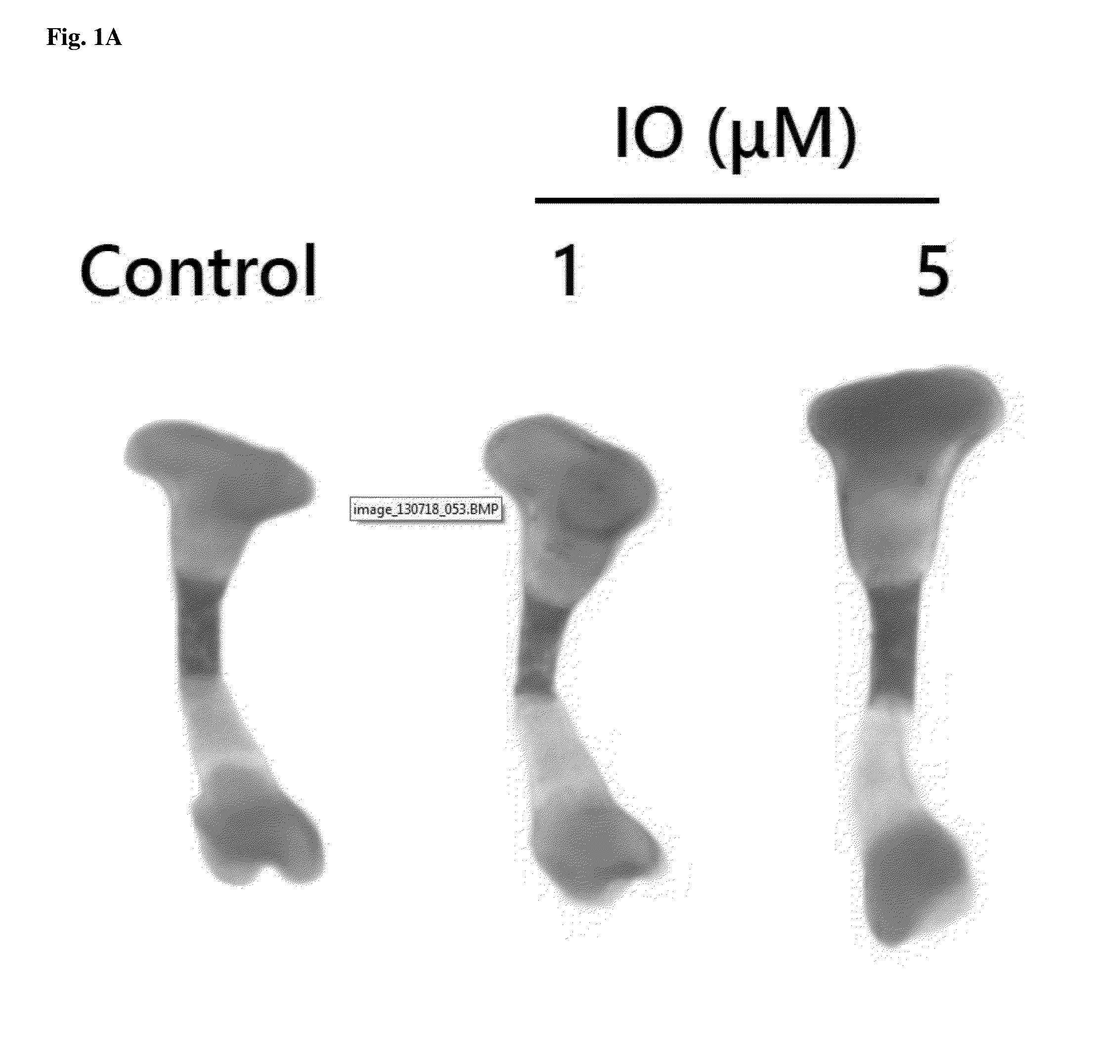 Small molecule, indirubin-3-oxime, for prevention and treatment of bone disease