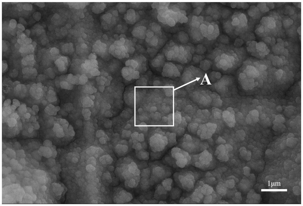 Rapid and low-energy-consumption preparation method of self-supporting nanostructure electrocatalyst