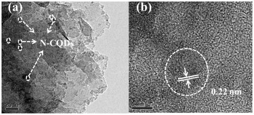 Tetracycline degradation method