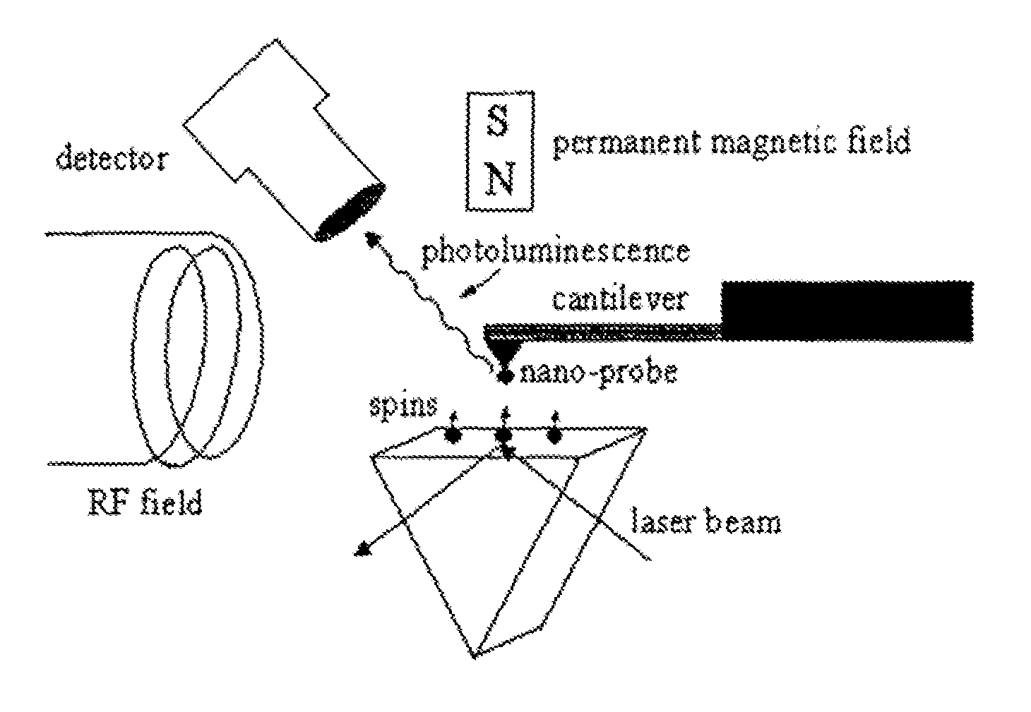 Spin microscope based on optically detected magnetic resonance