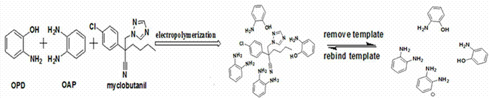 Method for preparation of triazole molecularly imprinted electrochemical sensor based on electropolymerized OPD/OAP composite membrane and application thereof