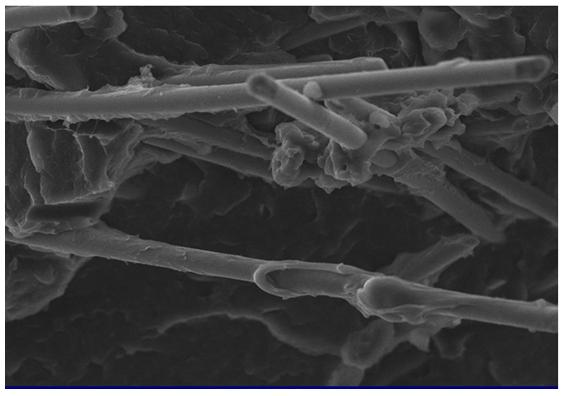 Glass fiber-reinforced polypropylene resin composition formula and preparation method