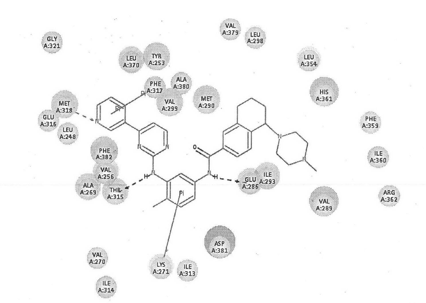 S-type and R-type tetrahydro-naphthalene amides antitumor compound and pharmaceutically acceptable salt or pro-drug thereof, preparation method and application