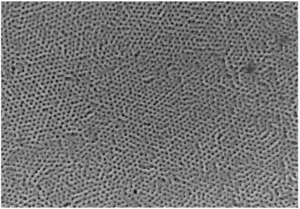 Polymer homopore membrane preparation method