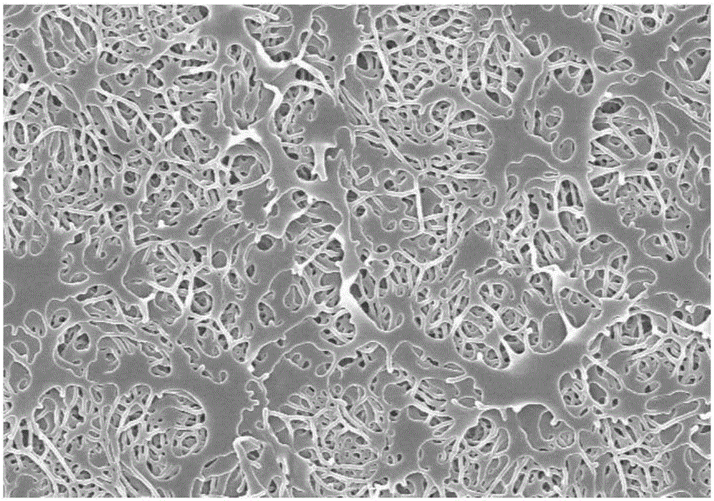 Polymer homopore membrane preparation method