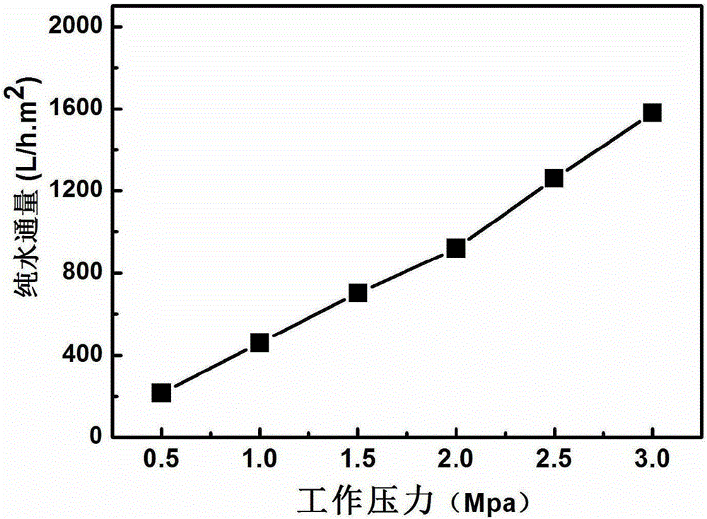 Polymer homopore membrane preparation method