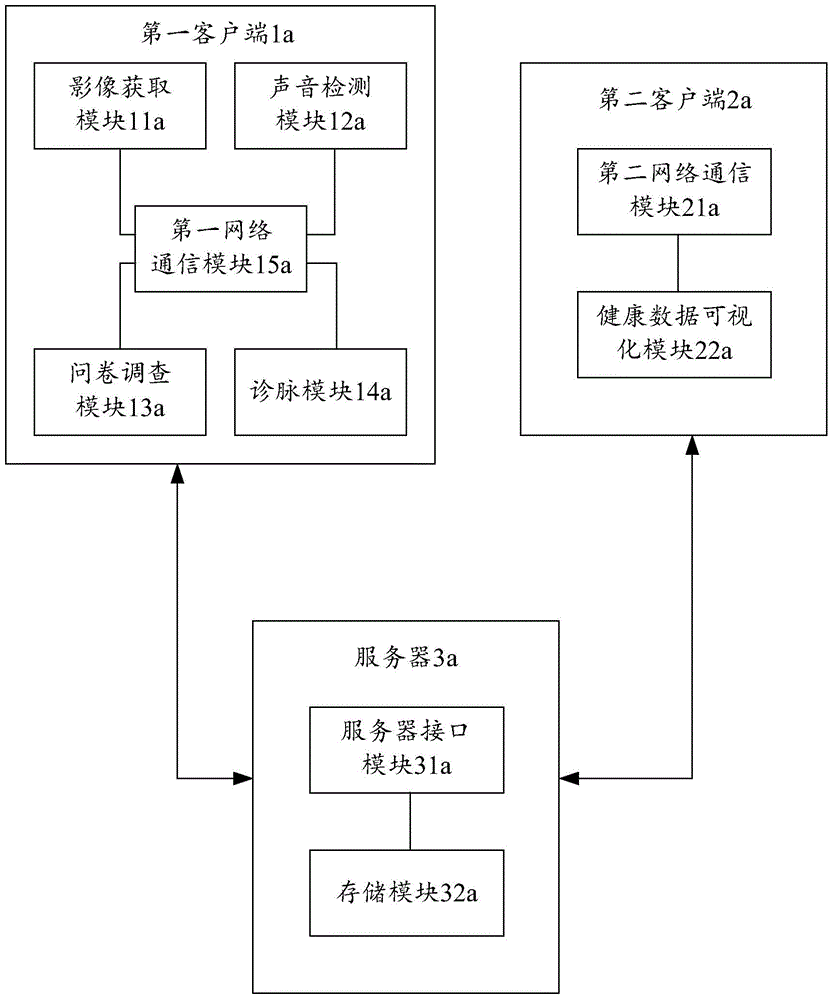 Traditional Chinese medicine health consultation system based on network