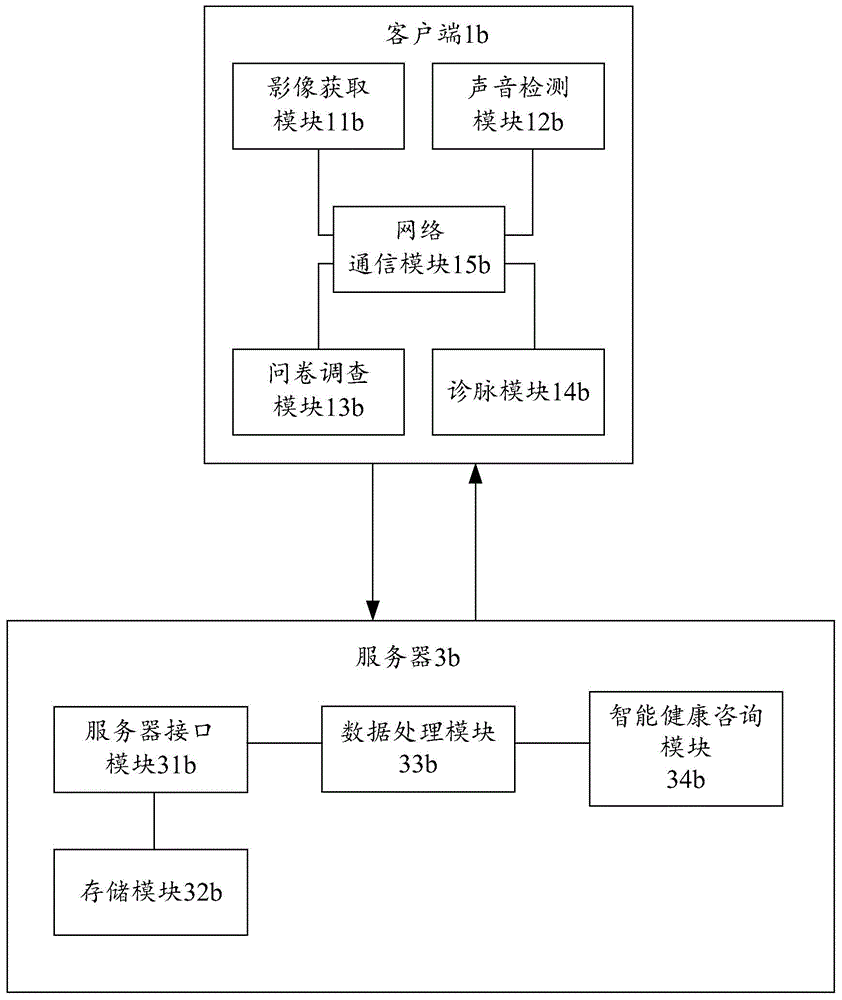 Traditional Chinese medicine health consultation system based on network