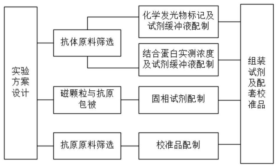 Hyaluronic acid chemiluminescence immunoassay kit and preparation method thereof