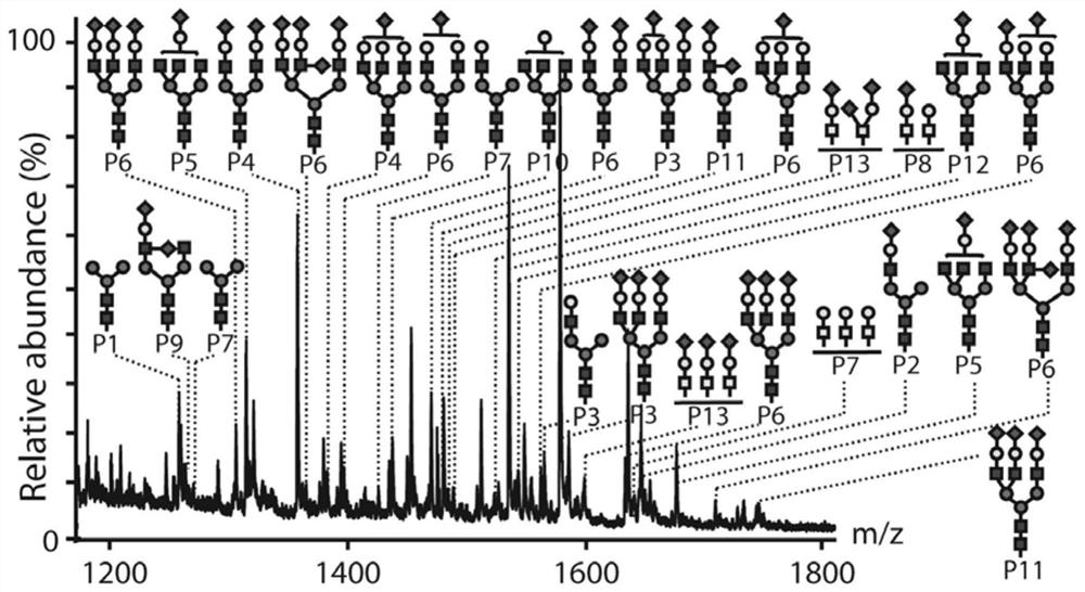 A Glycopeptide Enrichment Method Based on Amphiphilic Porous Core-Shell Microspheres