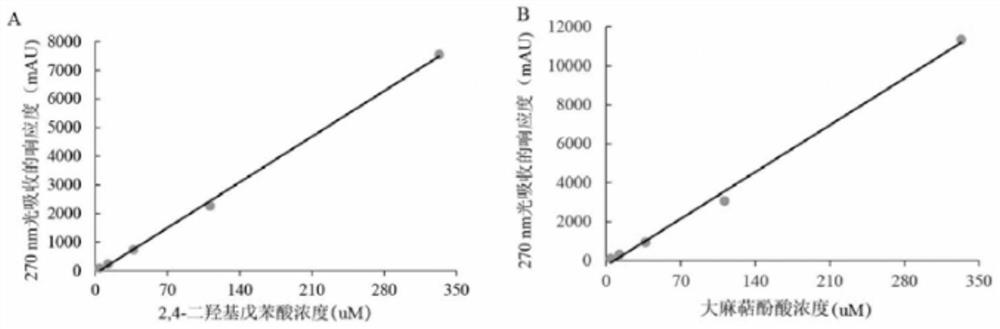 Saccharomyces cerevisiae strain with high yield of cannabigerol and construction method and application thereof