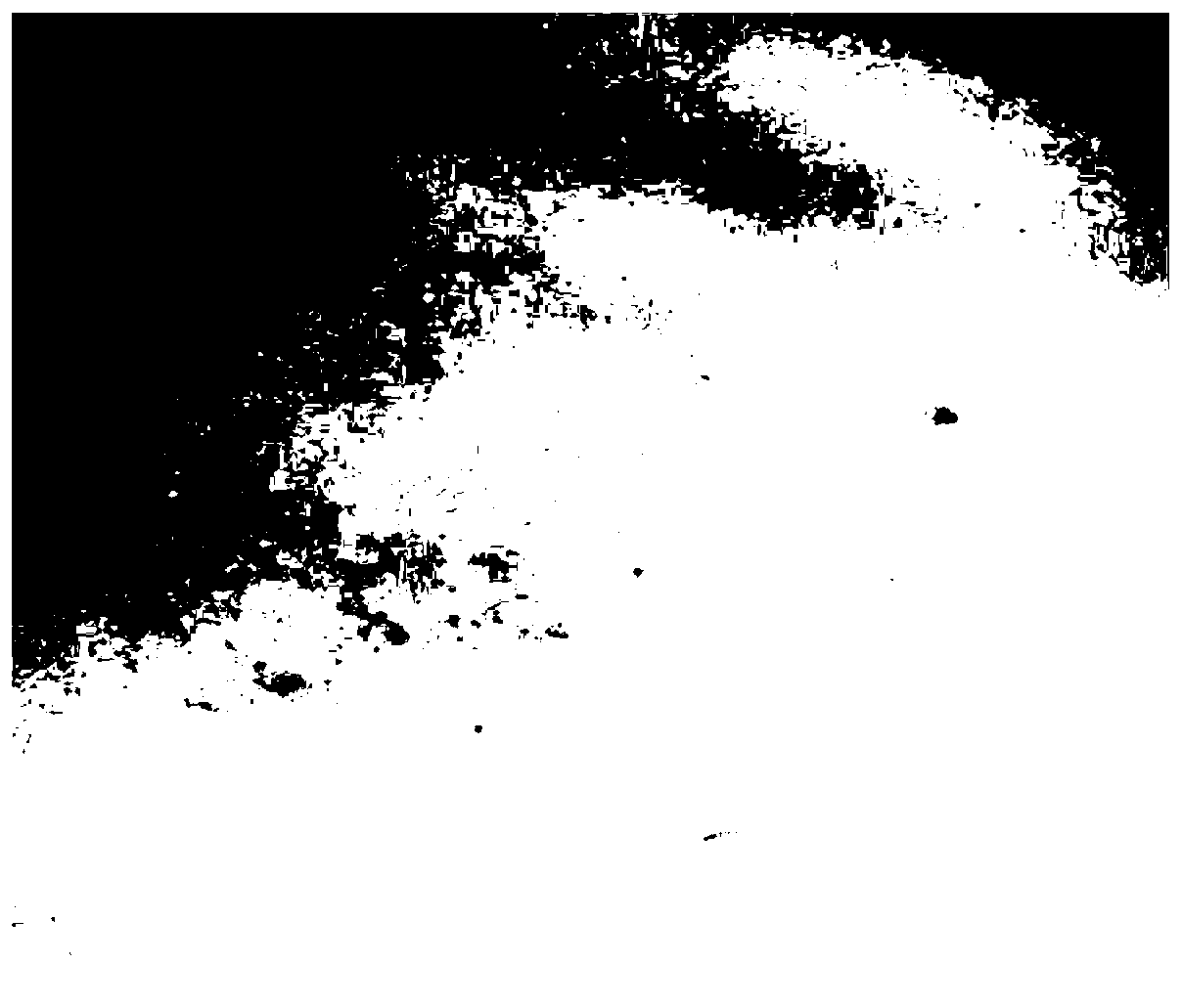 Normal-temperature cured phosphate anticorrosive coating capable of removing formaldehyde through visible light catalysis and achieving sterilization and mildew prevention, and preparation method thereof