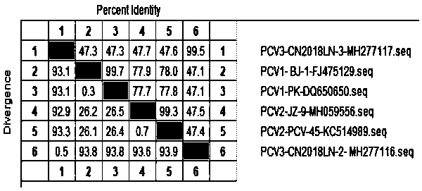 Primer group for identifying porcine circovirus types 1, 2 and 3 and application of primer group