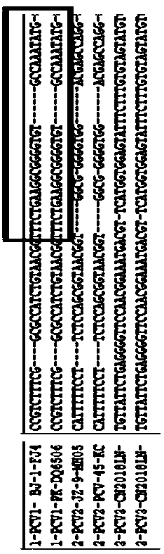 Primer group for identifying porcine circovirus types 1, 2 and 3 and application of primer group