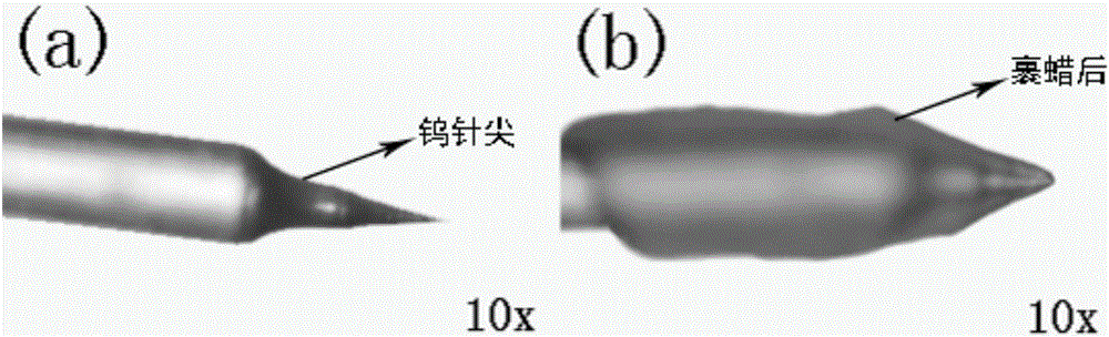 Waxed probe tip of scanning probe microscope and preparation method and application thereof