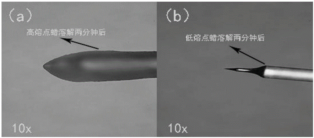 Waxed probe tip of scanning probe microscope and preparation method and application thereof