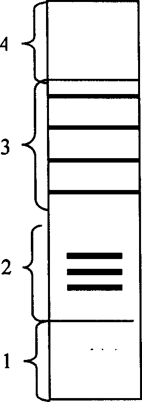 Three-in-one detection reagent plate for early diagnosis of acute myocardial infarction