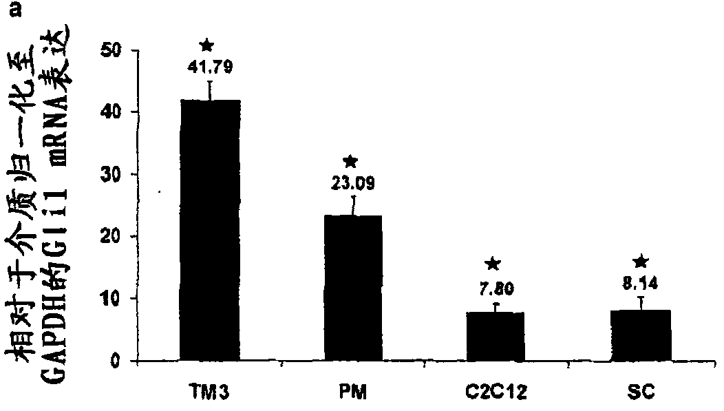 Use of hedgehog agonists in the treatment of musculoskeletal-related disorders