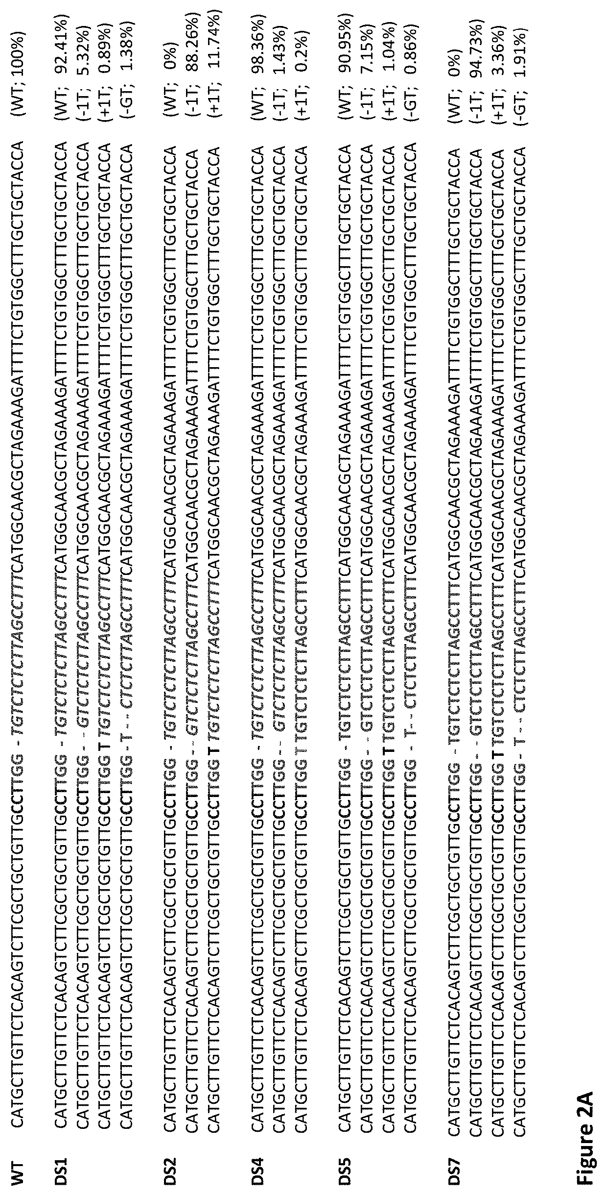 Targeted editing of citrus genes for disease resistance