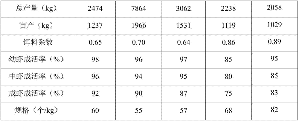 High-survival-rate penaeus vannamei aquaculture method