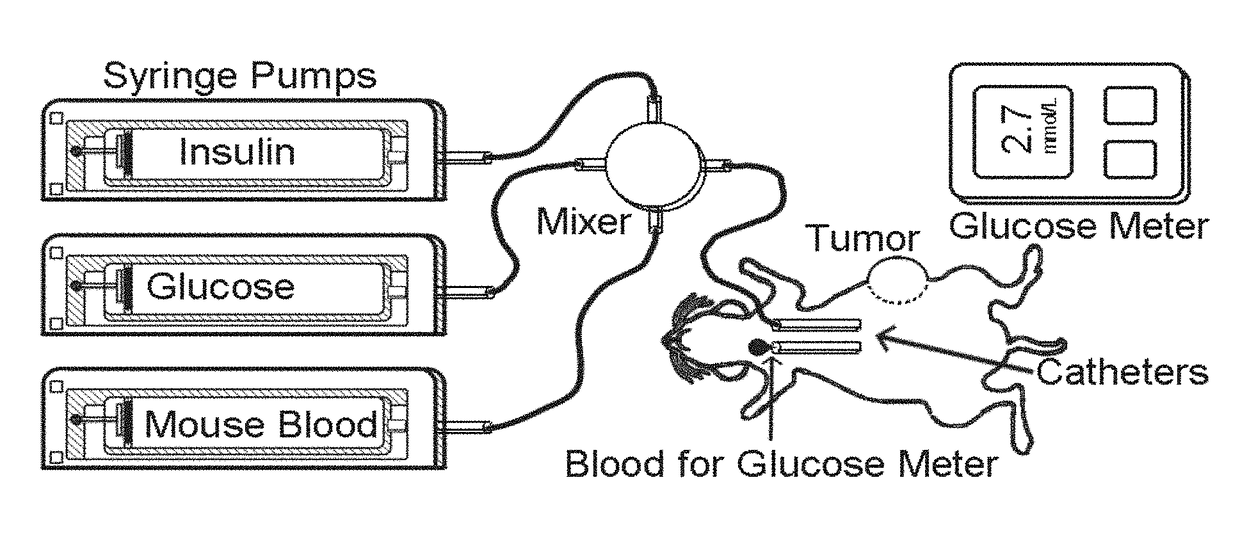 Warburg Effect Targeted Chemotherapy Apparatus