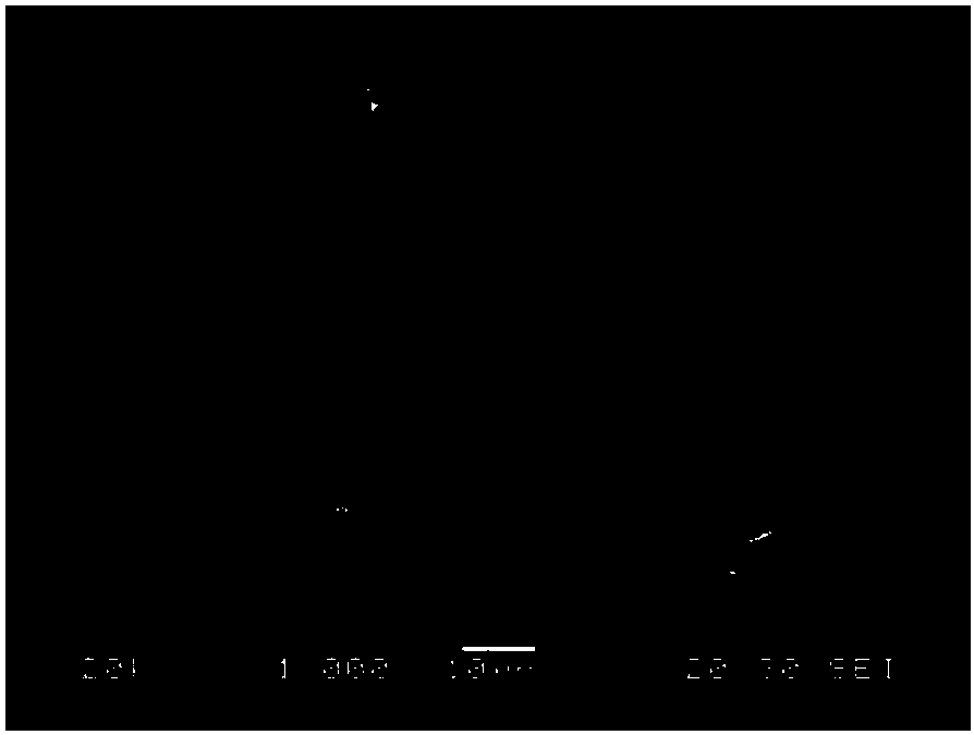 HDPE/FF antibacterial composite material with ZnO-SiO2 and preparation method thereof