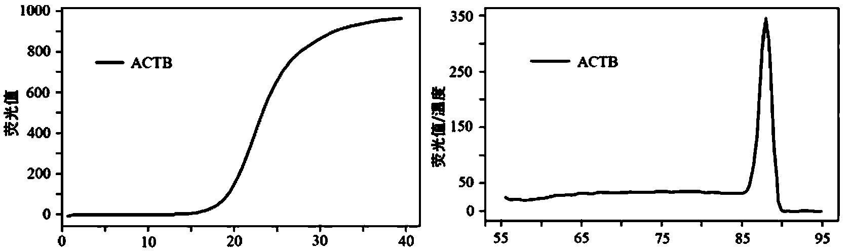 Fluorescent quantization PCR kit and detection method for detecting cow endometrial cell inflammatory reaction and application of kit