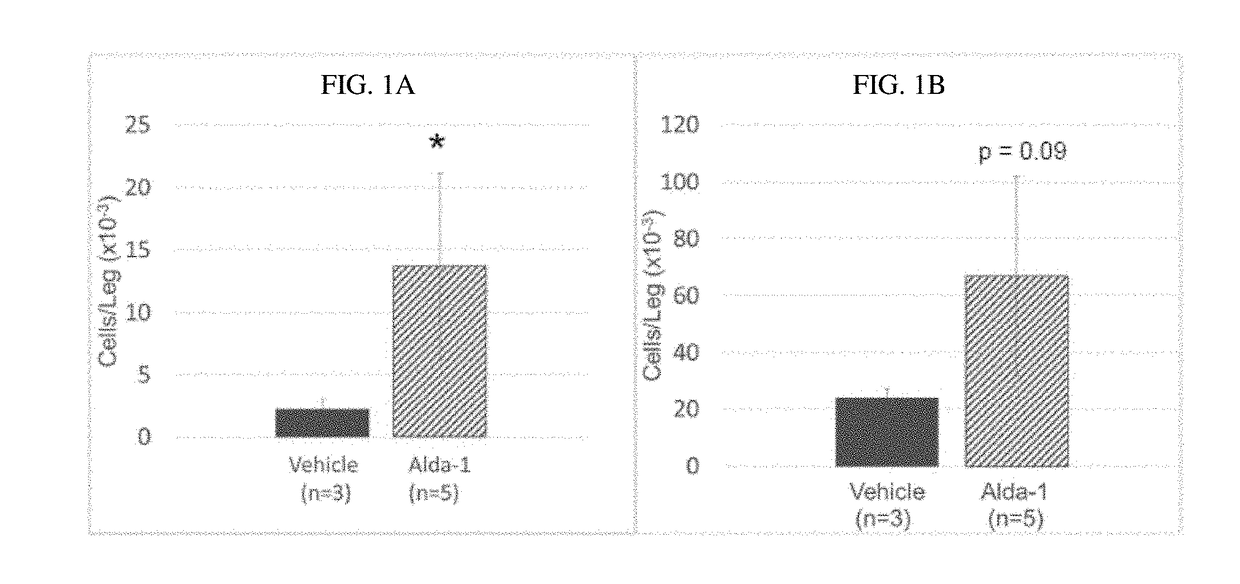 Mitochondrial aldehyde dehydrogenase-2 modulators for protecting, expanding and increasing the potency of hematopoietic stem cells