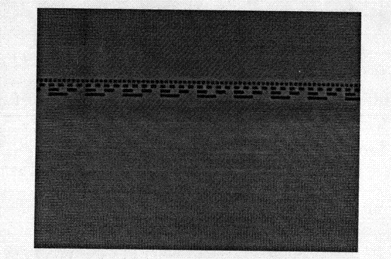 Absolute coding raster phase subdivision method based on charge coupling device