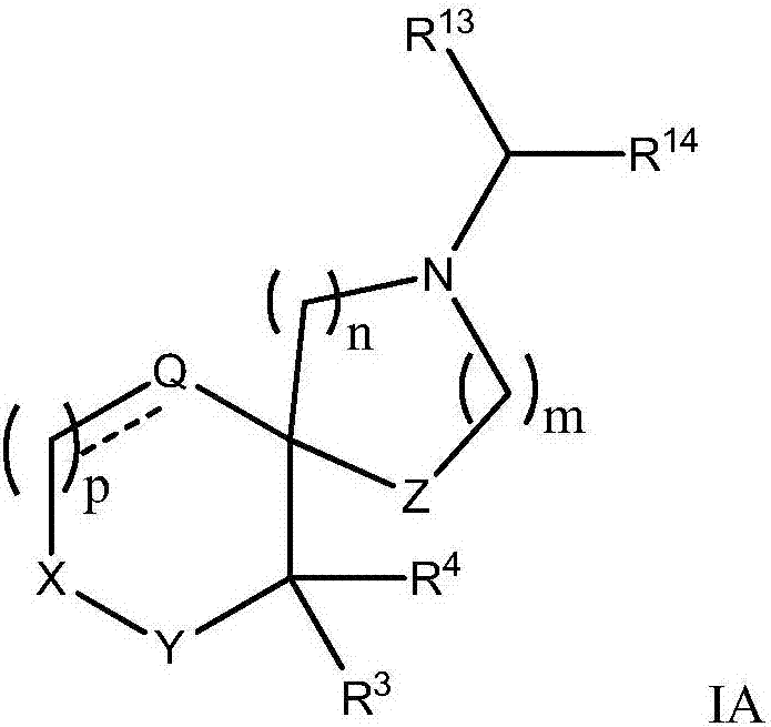 2-[bis(4-fluorophenyl)methyl]-2,7-diazaspiro[4.5]decan-10-one derivatives and related compounds as inhibitors of the human dopamine-active-transporter (dat) protein for the treatment of e.g. attention deficit disorder (add)