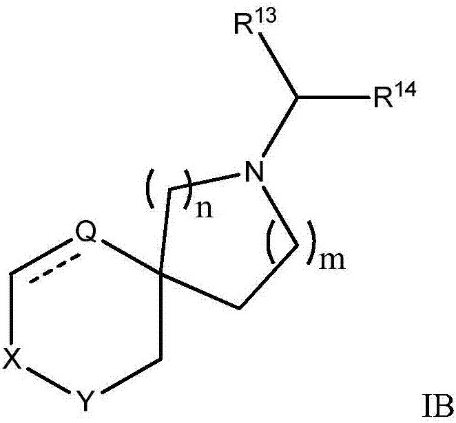 2-[bis(4-fluorophenyl)methyl]-2,7-diazaspiro[4.5]decan-10-one derivatives and related compounds as inhibitors of the human dopamine-active-transporter (dat) protein for the treatment of e.g. attention deficit disorder (add)