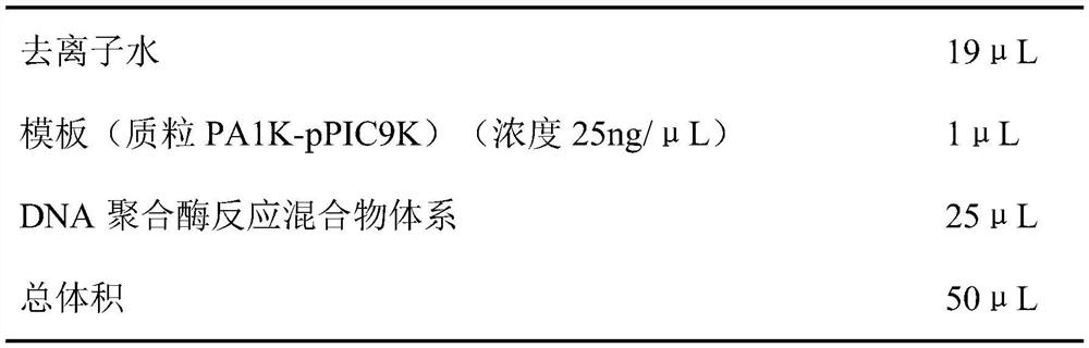 A genetic modification method for introducing polyamine tags, soluble expression and biomimetic immobilization of lipase