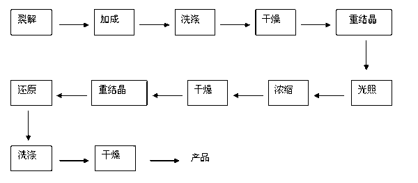 Synthetic method of pentacycloundecane