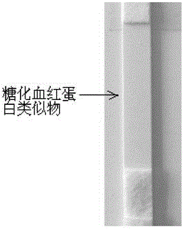 Glycosylated polypeptide, conjugate of glycosylated polypeptide and carrier protein, as well as preparation method and application of glycosylated polypeptide