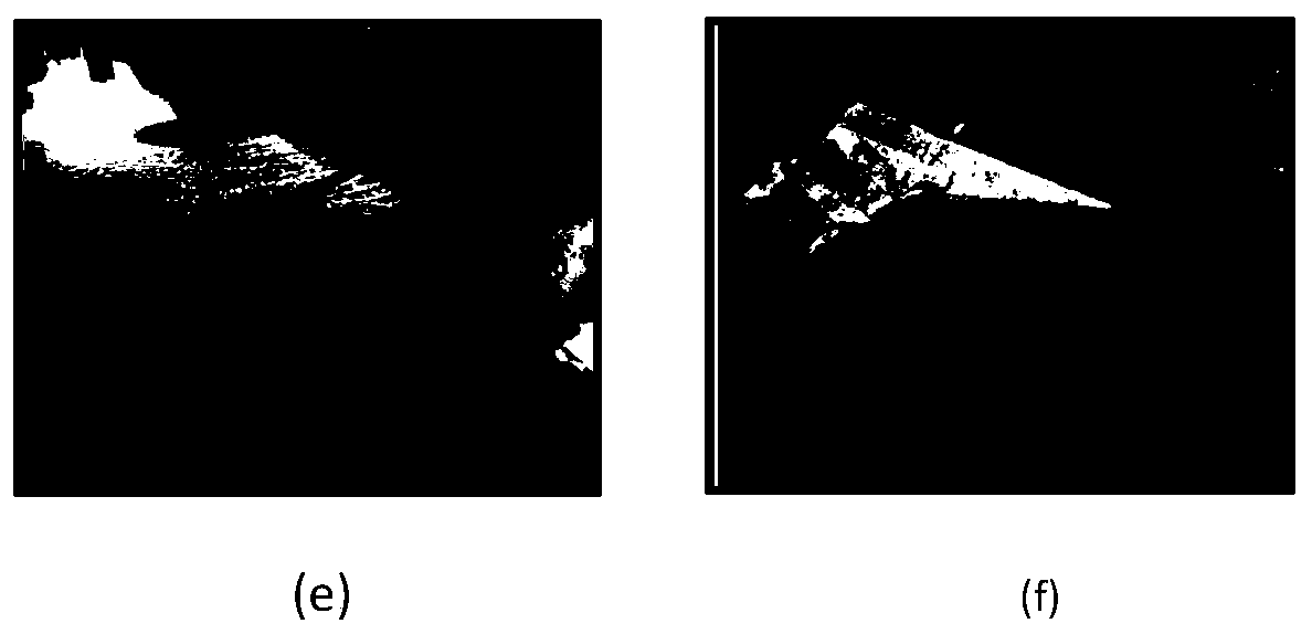 Urban black and odorous water body grading method based on decision tree